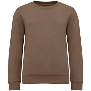 Native Spirit Childrens/Kids Round Neck Oversized Sweatshirt / Driftwood